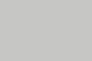 Deckfarbe Lichtgrau RAL7035 L