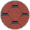 Rot